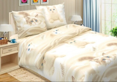 КПБ Белый кот